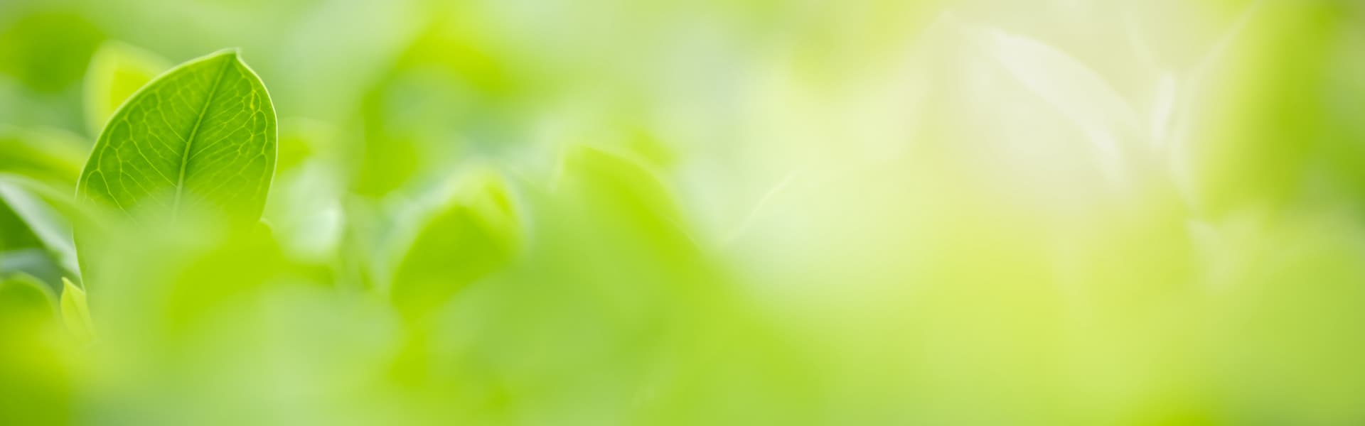 Blog_color_green