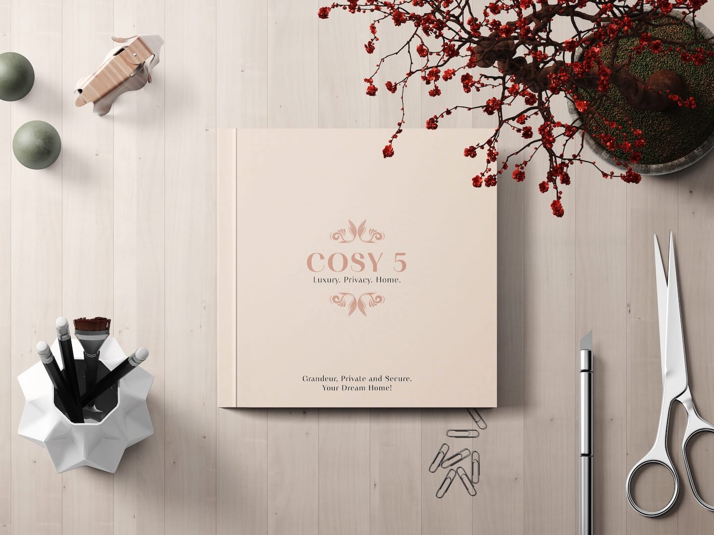 http://cosy%205%20brand%20mockup